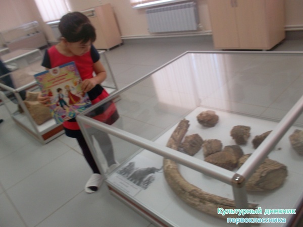 Туган як музее