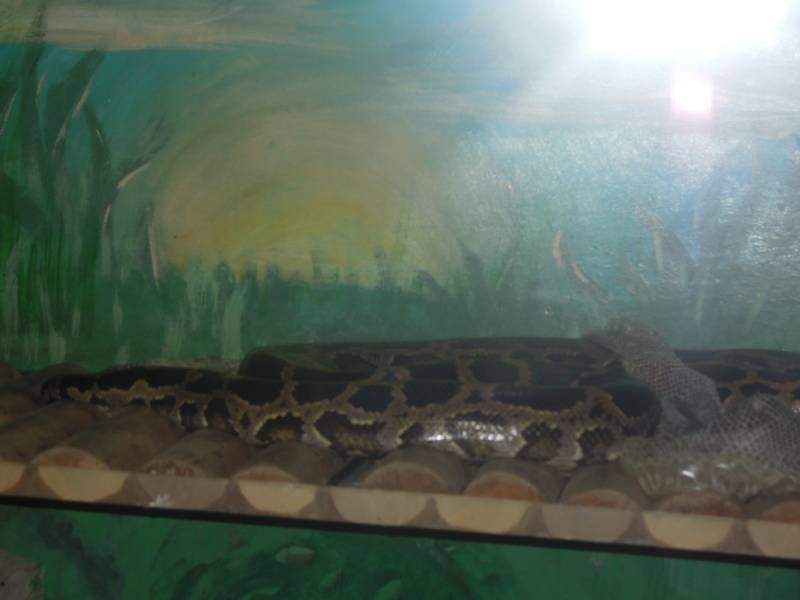 DSCN4837.JPG