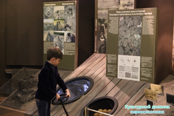 музей естественной истории Татарстана24741