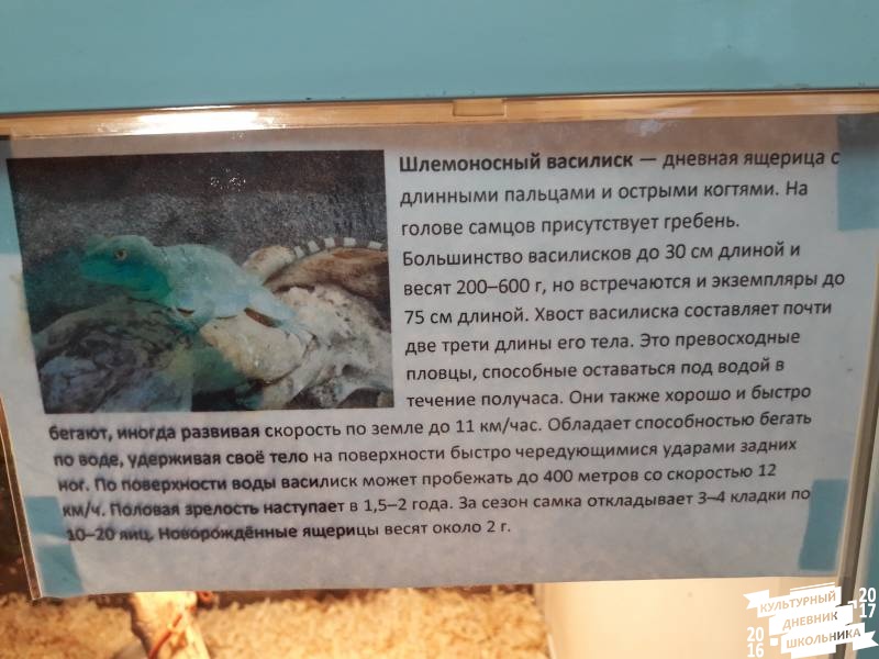 Выставка зоопарк "Живые тропики"60545