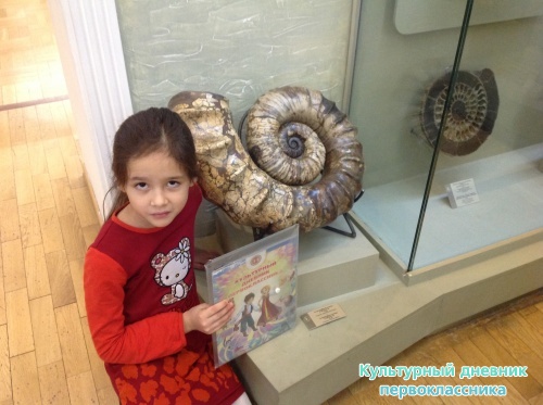 Музей естественной истории 2 этаж17402