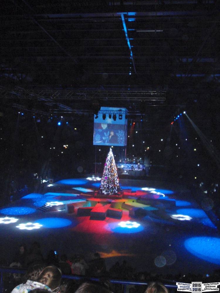Я на Президентской елке 25.12.2016 г.52414
