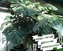 Оранжерейные растения. Зооботанический сад. Казань.78304