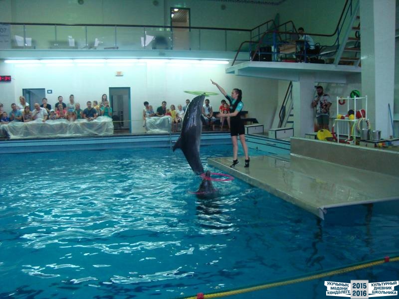 Мои летние каникулы!39643