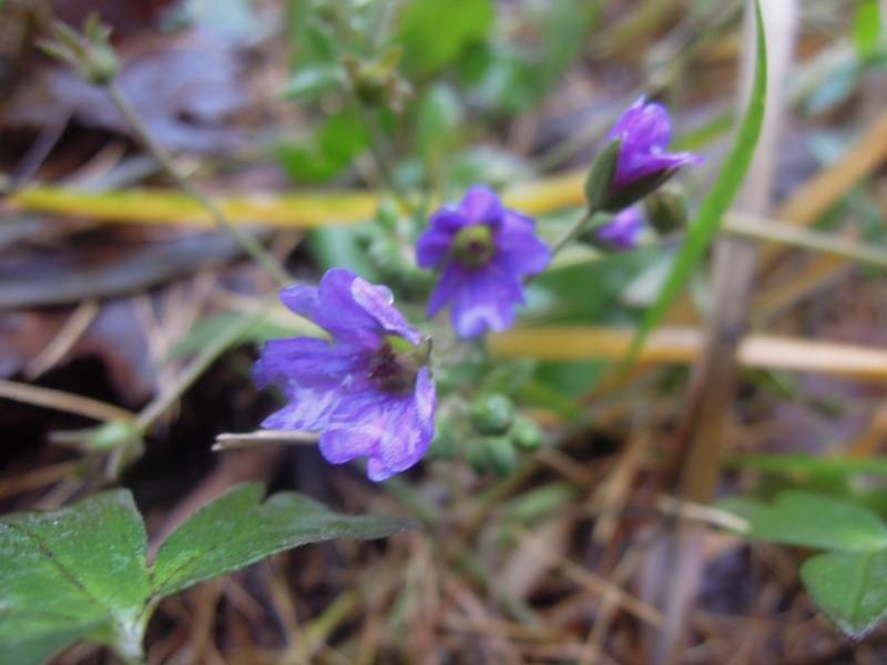 DSCN5035.JPG