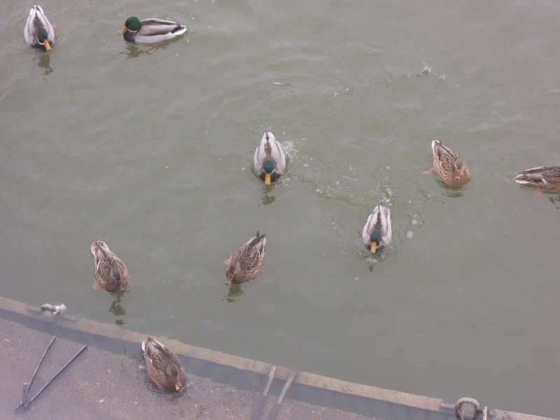 DSCN5378.JPG