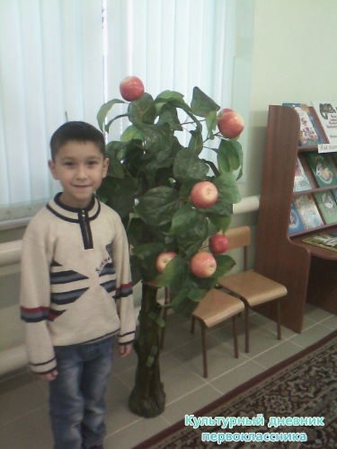 IMG_20141107_195342