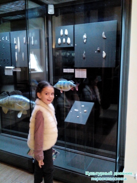 Древняя история Татарстана