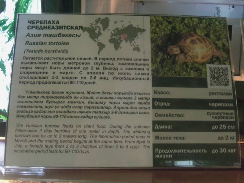 DSCN4865.JPG