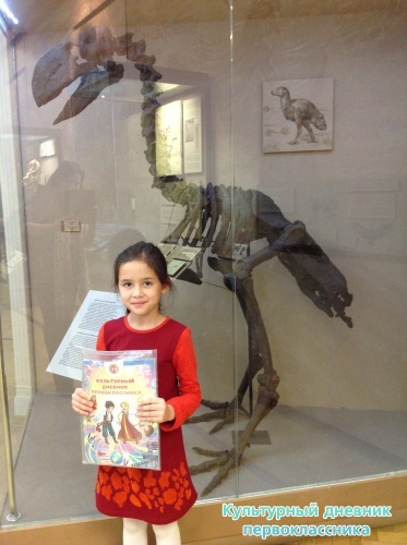 Музей естественной истории 2 этаж17405