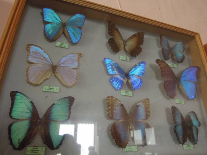 DSCN0433.JPG
