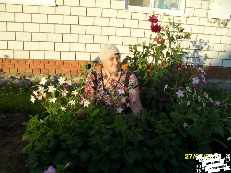 люблю лето82605