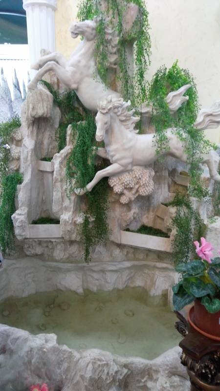 IMG_20171126_115250