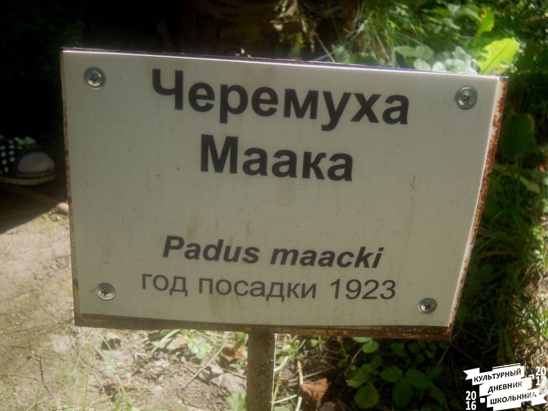 DSCN1628.JPG