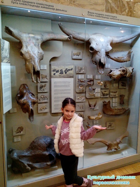 Музей естейственной истории Татарстана