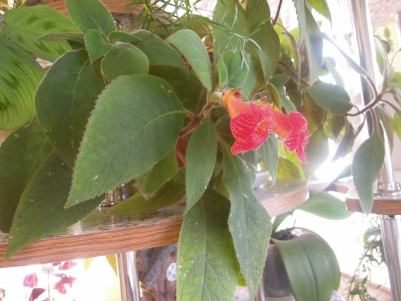 DSCN0569.JPG
