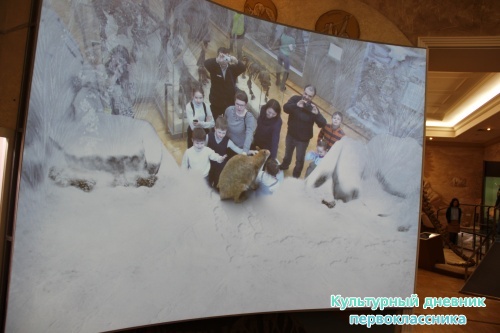 Новый экспонат «Ледниковый период»16488