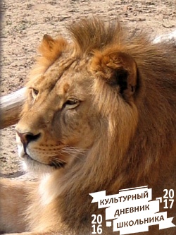 Лев. Зооботанический сад. Казань.78052