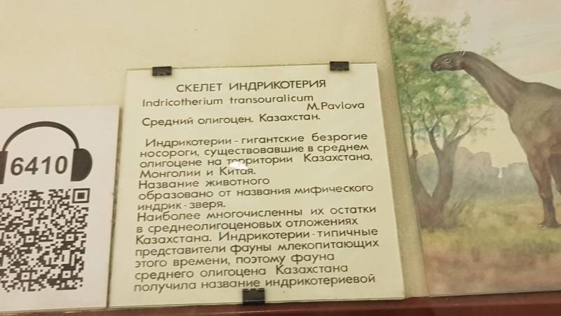 20190328_134546