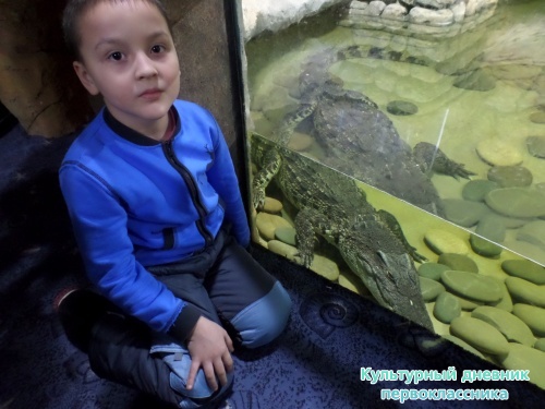 Океанариум