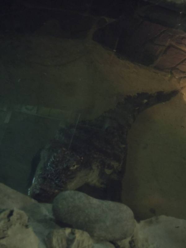 DSCN4859.JPG