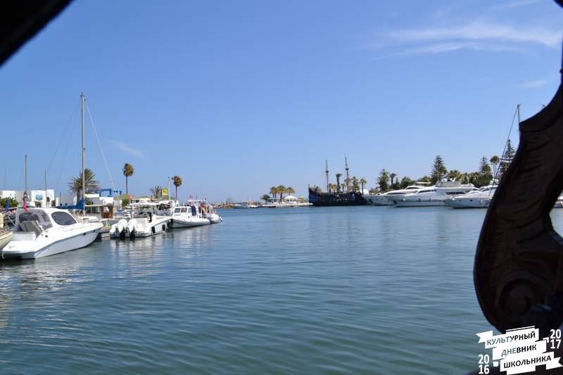 DSC_0342.JPG