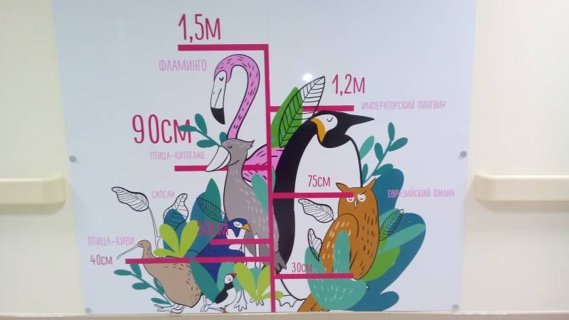 Детская поликлиника г. Альметьевск 2.11.17г89484