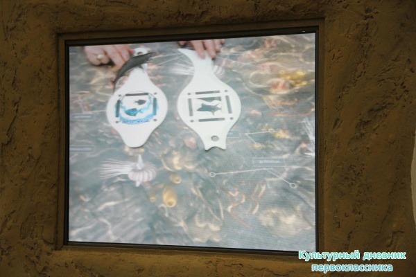 музей естественной истории Татарстана24745