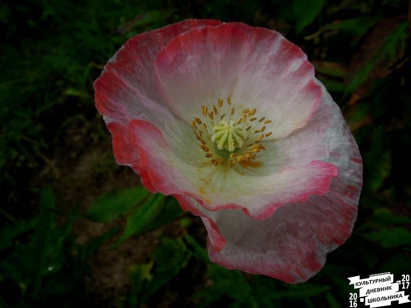 DSCN0572.JPG