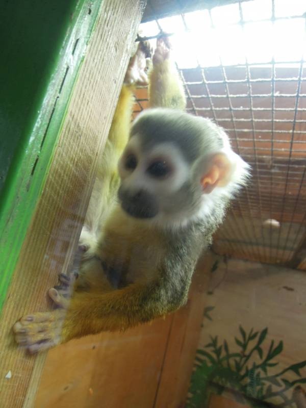DSCN4872.JPG