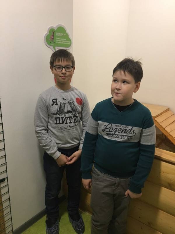 Трогательный зоопарк.93815