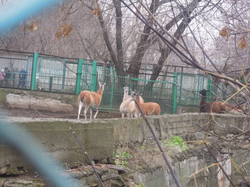 DSCN4938.JPG