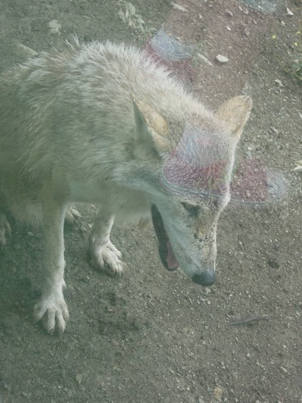 DSCN0210.JPG