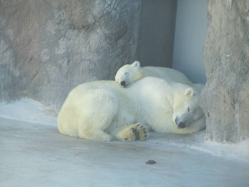 IMG_1774.JPG