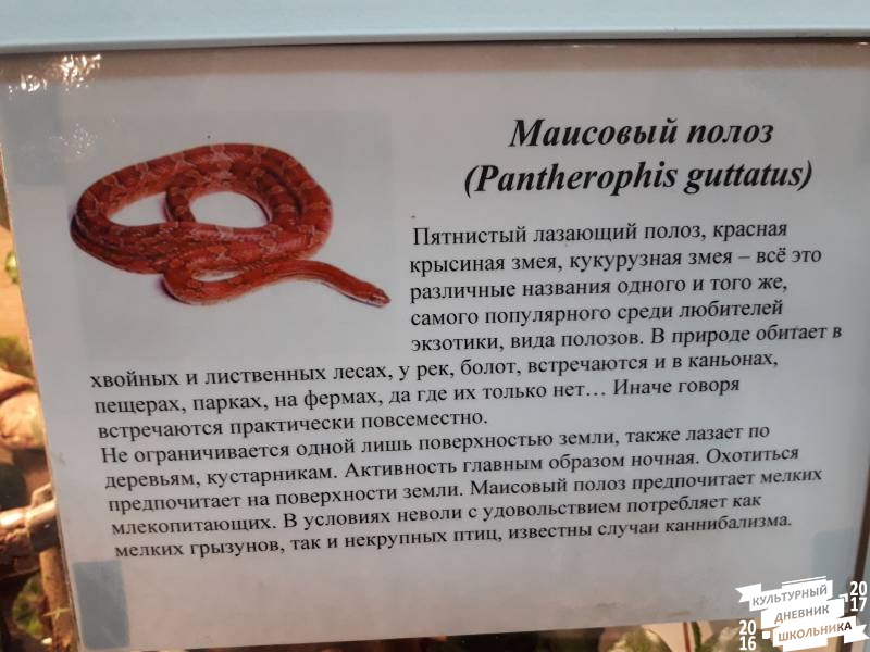 Выставка зоопарк "Живые тропики"60570