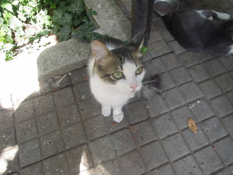 DSCN0593.JPG