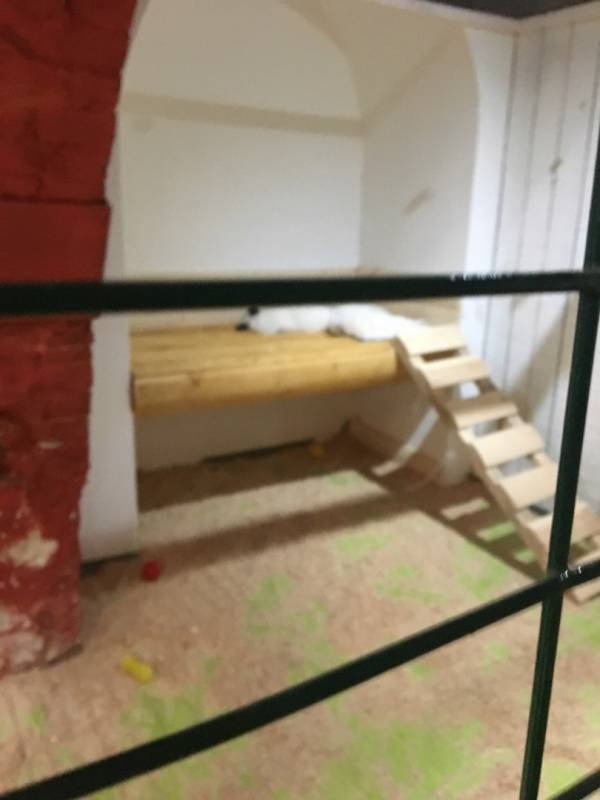 Трогательный зоопарк.93821