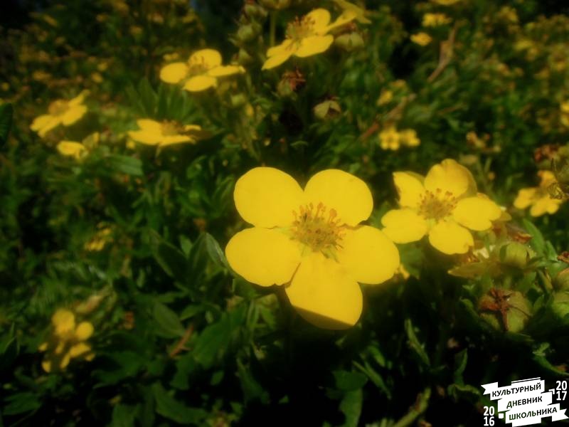 DSCN1645.JPG