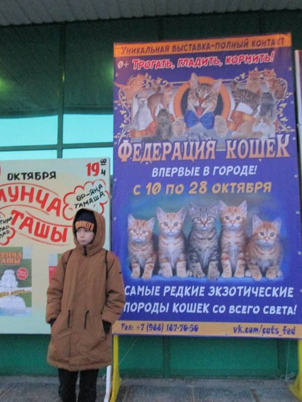 Афиша мероприятий Бугульмы158977