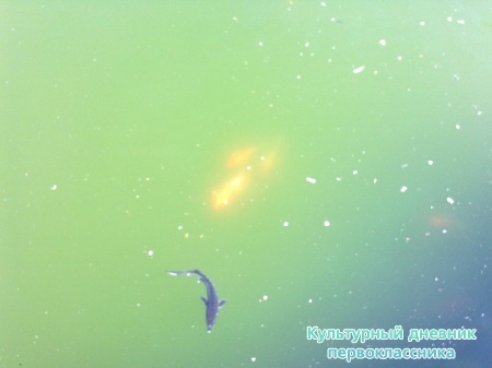 06092011365