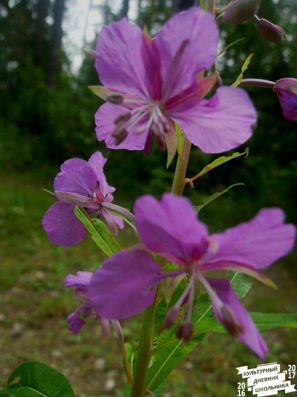 DSCN0590.JPG