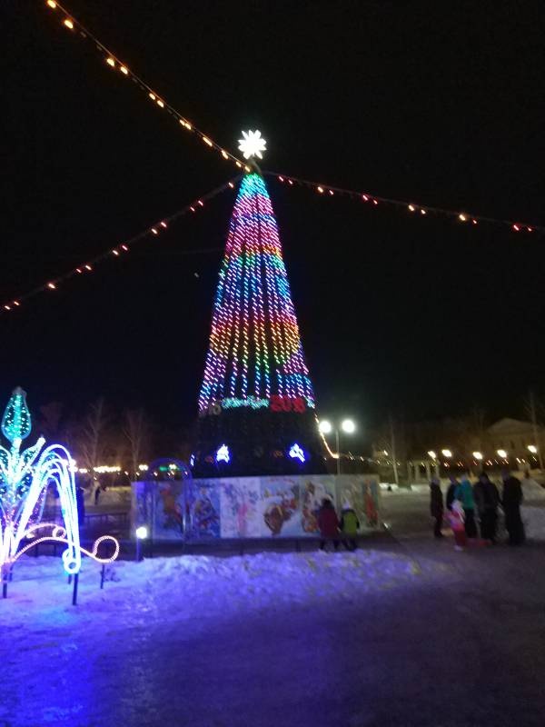 Мои новогодние каникулы133983