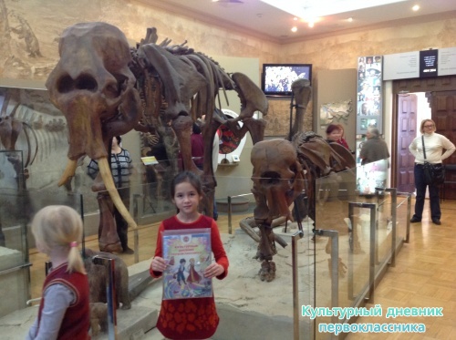 Музей естественной истории 2 этаж17401