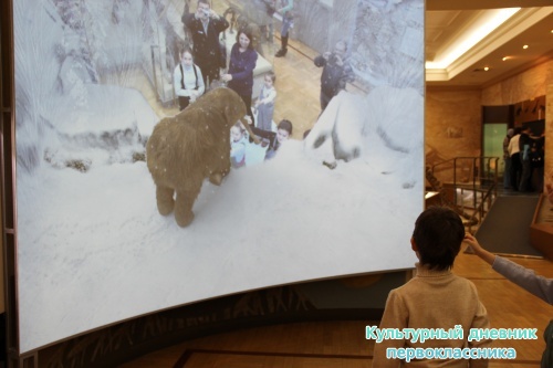 Новый экспонат «Ледниковый период»16492