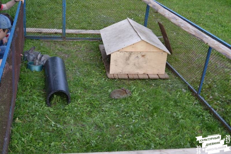 DSC_0677.JPG