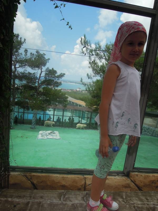DSCN0246.JPG