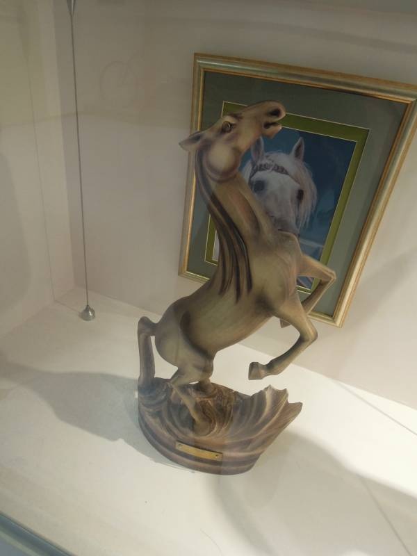 DSCN6808.JPG