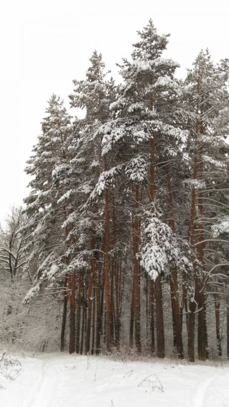 IMG-20171207-WA0003