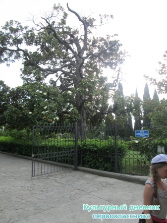 2013 021.JPG