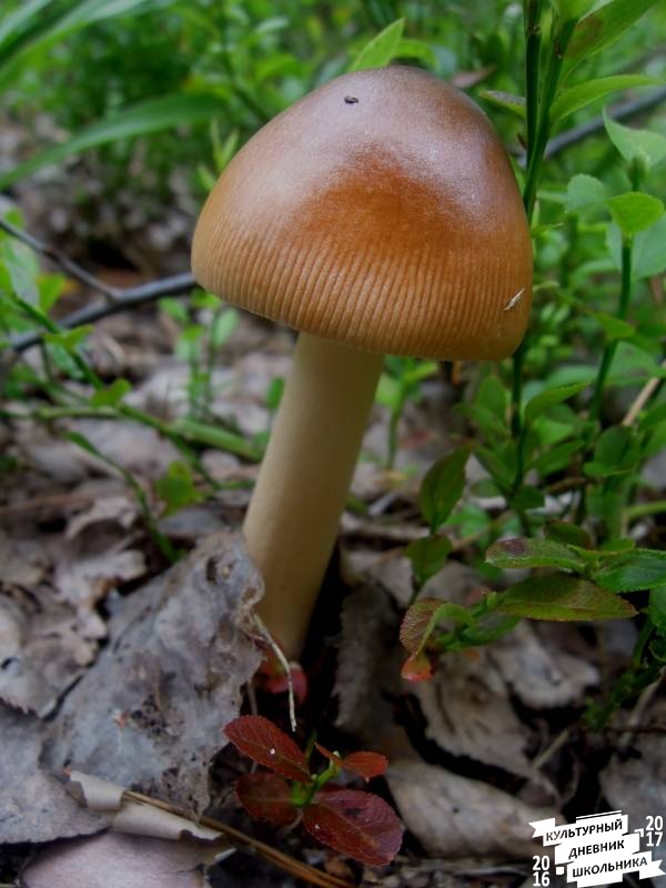 DSCN0614.JPG